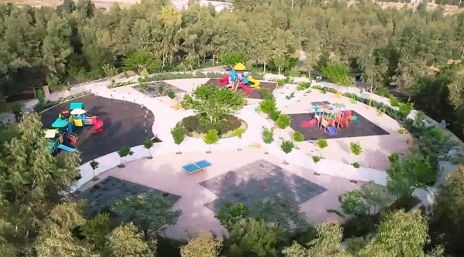 بازی و شادی به وقت آرامش