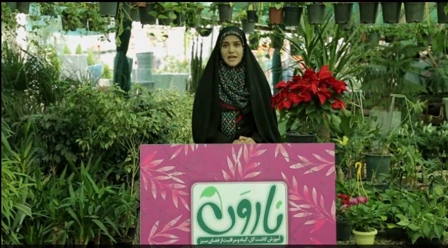 ناروَن - قسمت اول