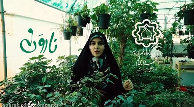 معرفی ناروَن