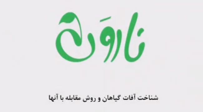 ناروَن - قسمت دهم